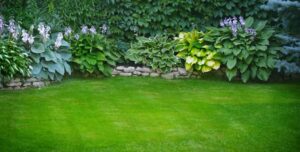 lawn freshly cut by lawn mower 